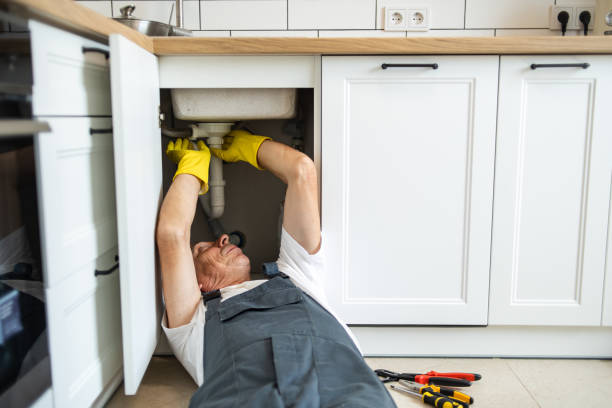 Best Local Plumber Services  in Columbus, IN
