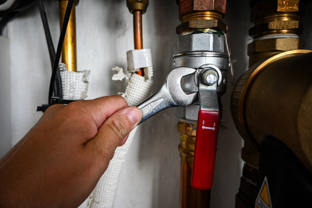 Best Local Plumber Services  in Columbus, IN